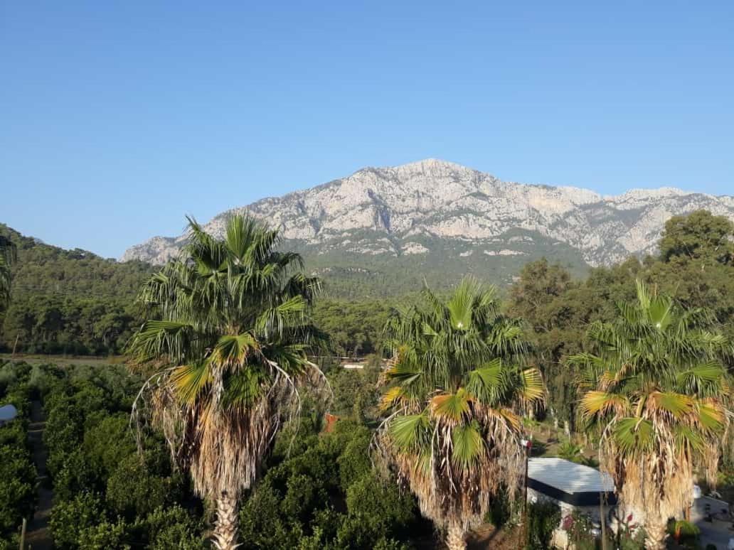 Hotel Club Jovia Kemer Antalya Exterior foto