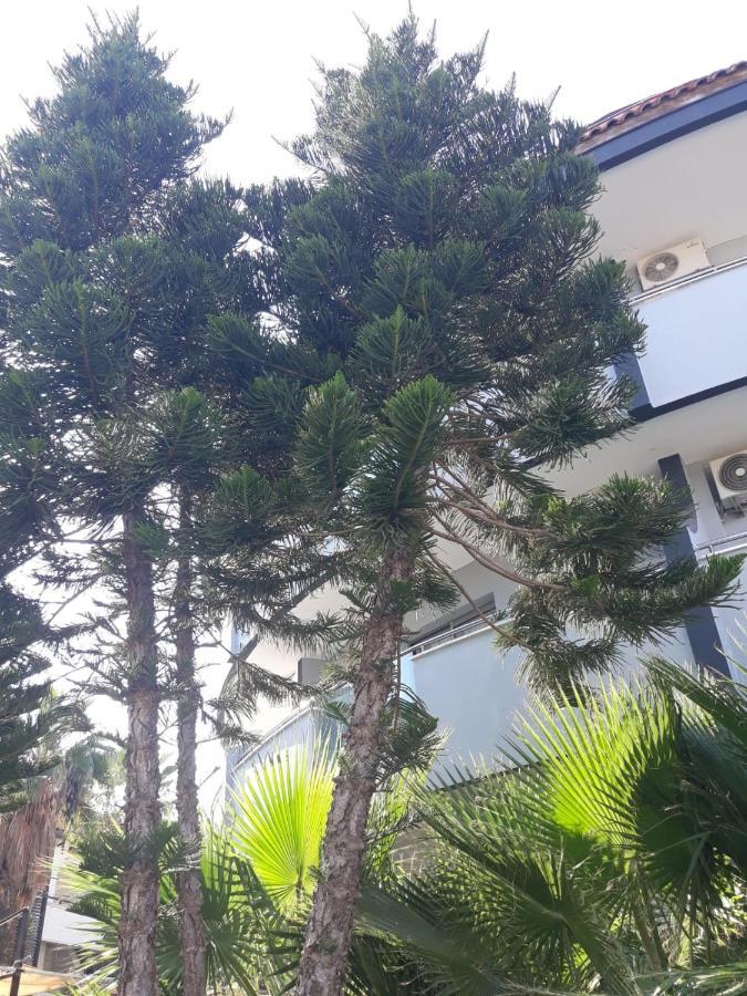 Hotel Club Jovia Kemer Antalya Exterior foto
